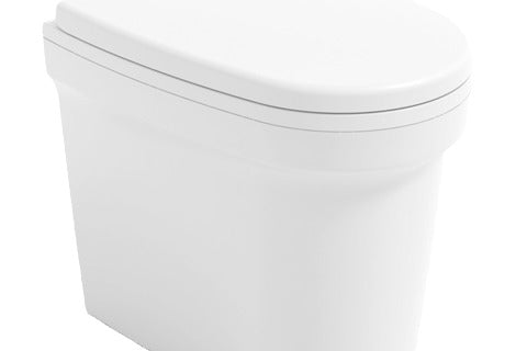 Cinderella Urinal image 0