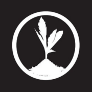 ECOASH logo